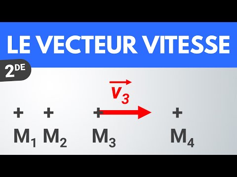 Le vecteur vitesse | Seconde | Physique-Chimie