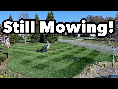 When Do I STOP Mowing My Yard