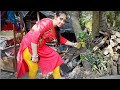 Our Village Our Food Vegetables Garden Review Ll Bengali Vlog