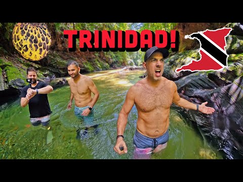 Trinidad- Caribbean's Most Underrated Island? Tour with @Trini_Surfer !