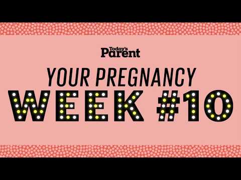 Your pregnancy: 10 weeks