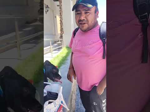 Oscar  y su   "Negrita" viajan a pie hacia Amaicha y necesita colaboración tras perder su trabajo