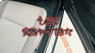 【納車5日】ジムニー初洗車で塗装が剥がれた…。初心者が車屋さんに相談した結果