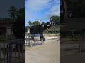 Mysore Dasara 2025 Ambari Elephant Arjuna Salutes Remembering Mighty Arjuna Arjuna Mysoredasara