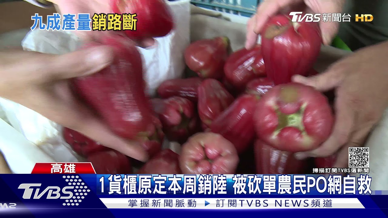 都要裝櫃了大陸突然喊卡 六龜蓮霧農自救網拍