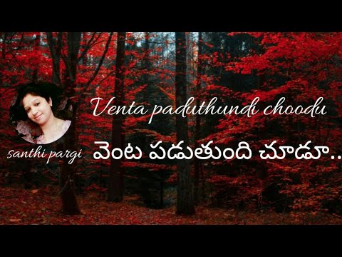 Venta paduthundi choodu cover song by santhi pargi / Vaana / santhi pargi covers