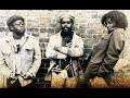 Mighty Diamonds "Why Me Black Brother Why?", Well Charged "Ital Step"
