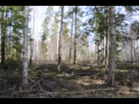 KB Kumlabladet - Reportage, Fotbollsplanen som försvann