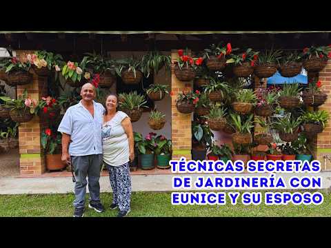 Unusual plants you can grow at home, beautiful Eunice's GARDEN |AP