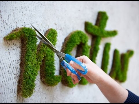 download lagu mp3 mp4 Grow Moss On Wall, download lagu Grow Moss On Wall gratis, unduh video klip Grow Moss On Wall