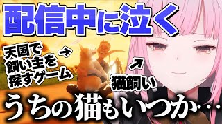 配信中に泣くカリオペ。愛猫への想いを語る【 Mori Calliope / ホロライブ EN 切り抜き】