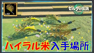 【ゼルダの伝説ティアキン】「ハイラル米」の入手方法！簡単に収穫できる場所や売っている場所も紹介！