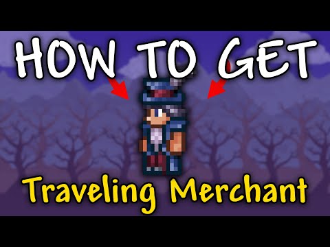 How to Get Traveling Merchant in Terraria | Traveling Merchant in terraria