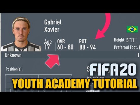 HOW TO FIND THE BEST YOUTH ACADEMY PLAYERS in FIFA 20 Career Mode