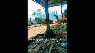 Download lagu story wa cinta karna cinta #judika mp3 Download lagu story wa cinta karna cinta #judika mp3