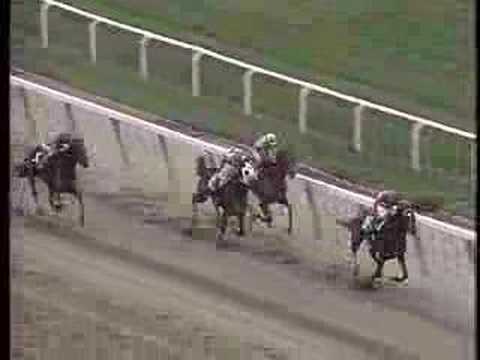 1995 Breeders' Cup Classic