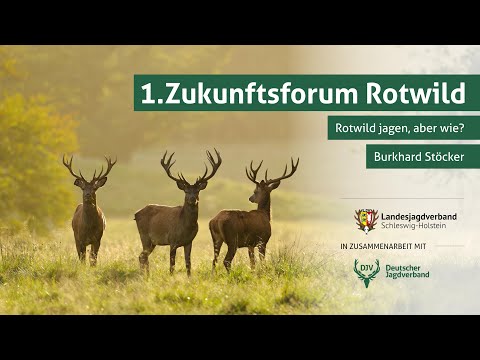 Zukunftsforum Rotwild | Teil 6: Rotwild jagen, aber wie?
