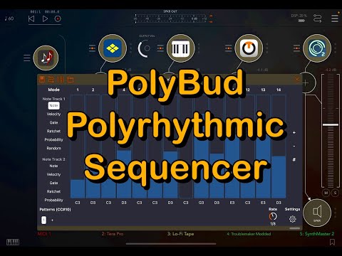 PolyBud Polyrhythmic Sequencer - Multi-Track AUv3 MIDI - Tutorial - This is a Very Clever App