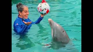 Hidalgo: Más allá de las predicciones | Documental Oficial 🐬