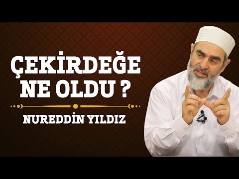 149) Çekirdeğe Ne Oldu? - Nureddin Yıldız - (Hayat Rehberi) - Sosyal Doku Vakfı