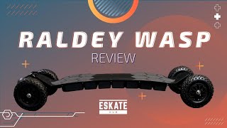 Raldey WASP Electric Mountainboard Review
