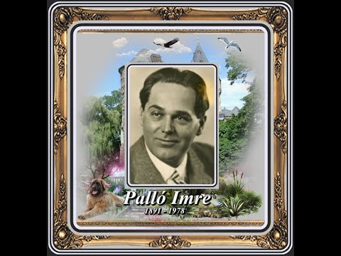 Palló Imre : Udvarhelyi temetőben