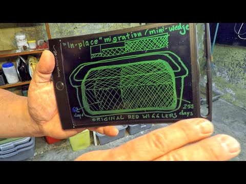 "Original" worms test-driving in-place migration aka wedge aka continuous flow setup - vermicompost