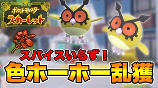 スパイス無しでも簡単に色違いホーホーを出せるやり方を紹介します！　【ポケモンSV】　【碧の仮面】