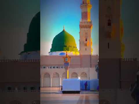 konain de walida #public #video #viral