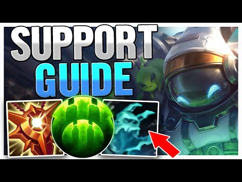 How to Play BARD SUPPORT Like LATHYRUS!