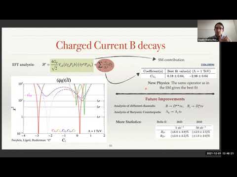 Claudio Andrea Manzari - Lepton Flavour Universality Violation - 12-01-21