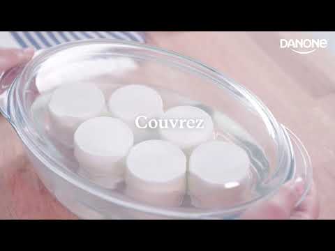 Ferments pour yaourt nature maison DANONE : la boite de 3x2g à Prix  Carrefour