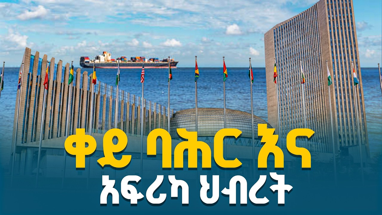 በቀይ ባሕር ጉዳይ የአፍሪካ ህብረት ሚና #Ethiopia #Africa የሀገር ጉዳይ ETV | EBC | EBCDOTSTREAM