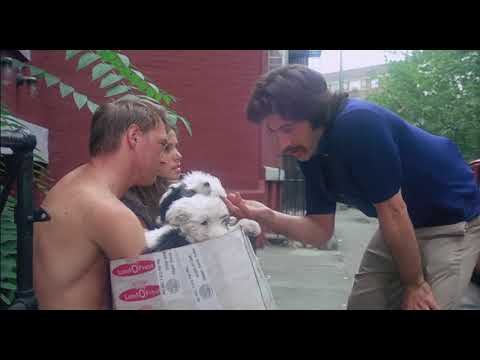 Jill Senter Scene from Serpico with Al Pacino 1970's