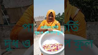 Download lagu Watch Aishwarya getting ready to bathe with milk and roses #foryou #shortvideo #cutebaby mp3