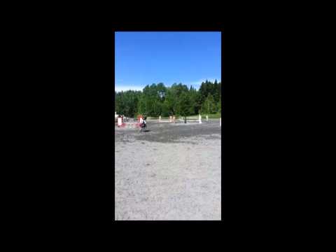 Lille Lyn 70cm CR Moss