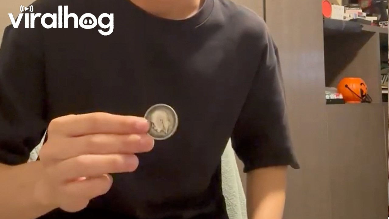 Isaac Wong Coin Magic Trick || ViralHog