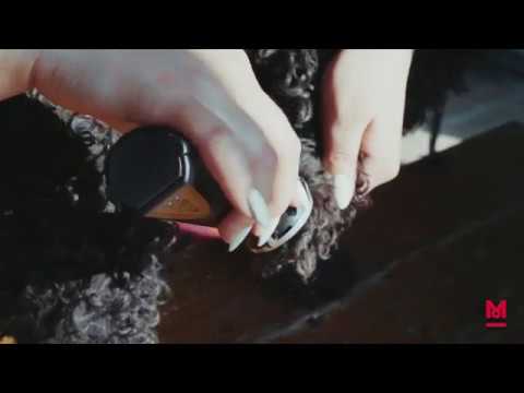 Миниатюра изображения товара Машинка для стрижки шерсти Moser Rex mini 1411-0060 / 1411-0062