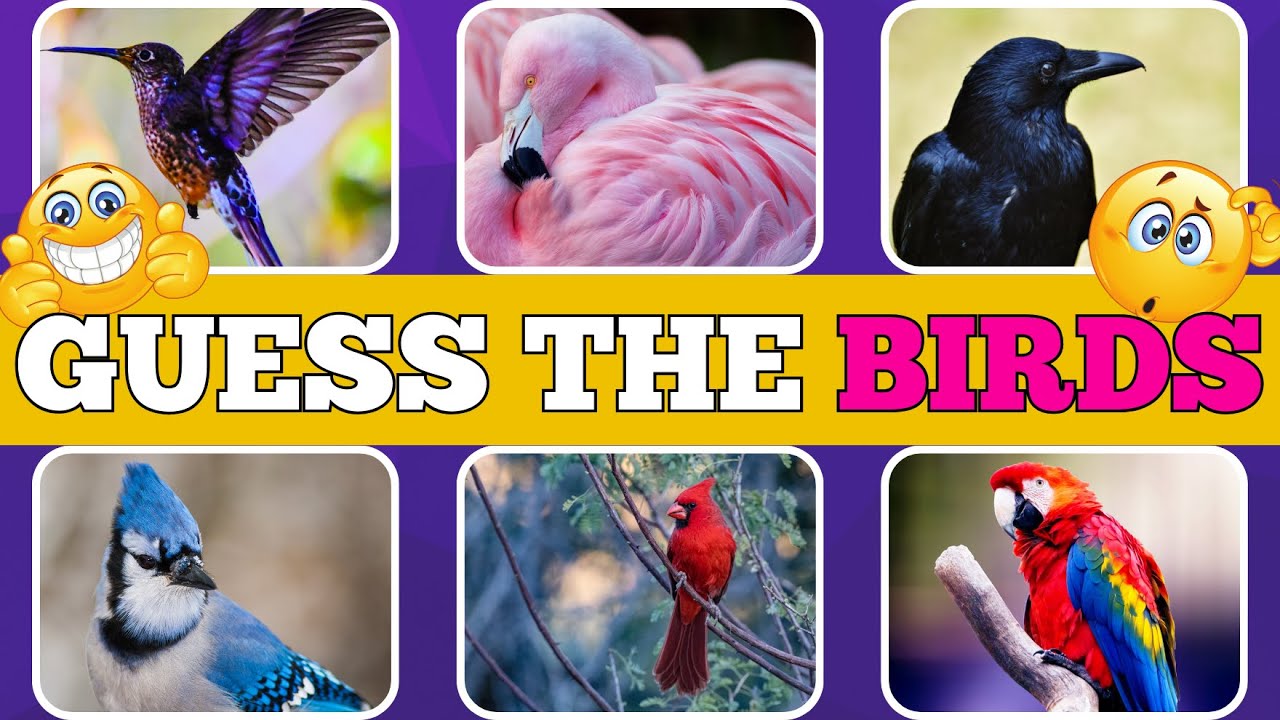 Guess the Birds🦜🐣 Test Your Avian Knowledge with 30 Tricky Questions🧐