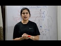 Endocrine system anatomy & physiology in hindi || glands || functions || locations || structure
