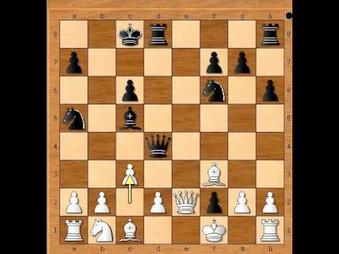 Zanimljive kombinacije u napadu na Kralja - HARRWITZ vs ZYTOGORSKI # 677