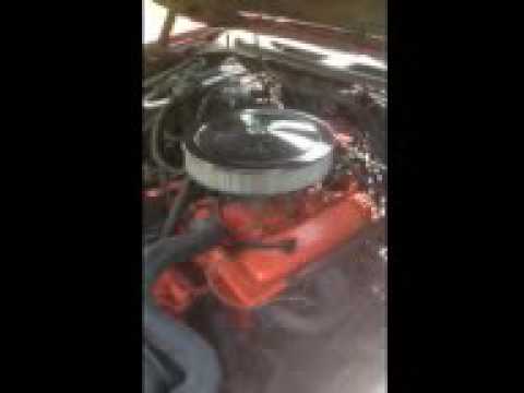 1971 Chevrolet Chevelle Malibu (CC-997647) for sale in Tampa, Florida