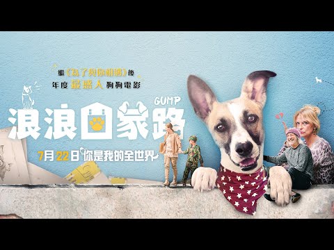 🐶今夏最動人毛孩電影【浪浪回家路】🇨🇿 捷克奧斯卡最佳攝影大師操刀、當代捷克實力派影帝后齊聚暖心獻映🐾𝟕‧𝟐𝟐 你是我的全世界｜原創娛樂 Creative Century Ent.