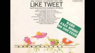 Joe Puma and the Audiobon All-Stars - Panic In The Birdcage