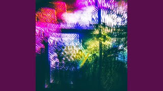 Blossom Music Video