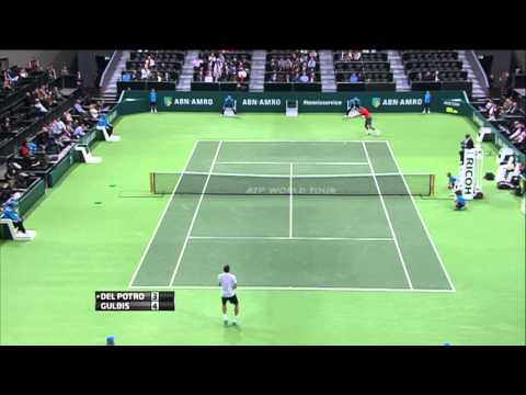Rotterdam 2014 Friday Hot Shot Gulbis