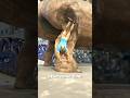 A Man Trapped In A Dinosaur Statue