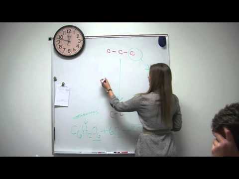 Acetyl CoA Formation