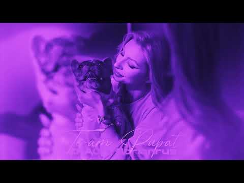 Zhao x Florian Rus - Te-am pupat (Speed-up Version) | NIGHTCORE Remix