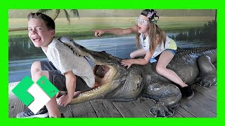 SURVIVING GATORLAND (Day 1484)